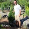 NORTH POLE® ARBORVITAE -Sooner Plant Farm Shop DETA2 2595