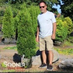 EMERALD GREEN ARBORVITAE -Sooner Plant Farm Shop DETA2 417